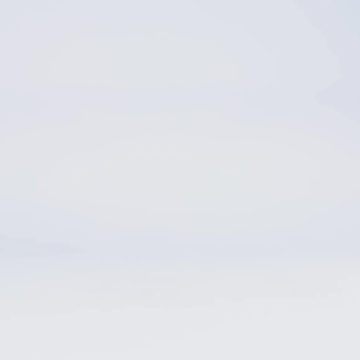 REEF Scallywag | Boots | Shoes