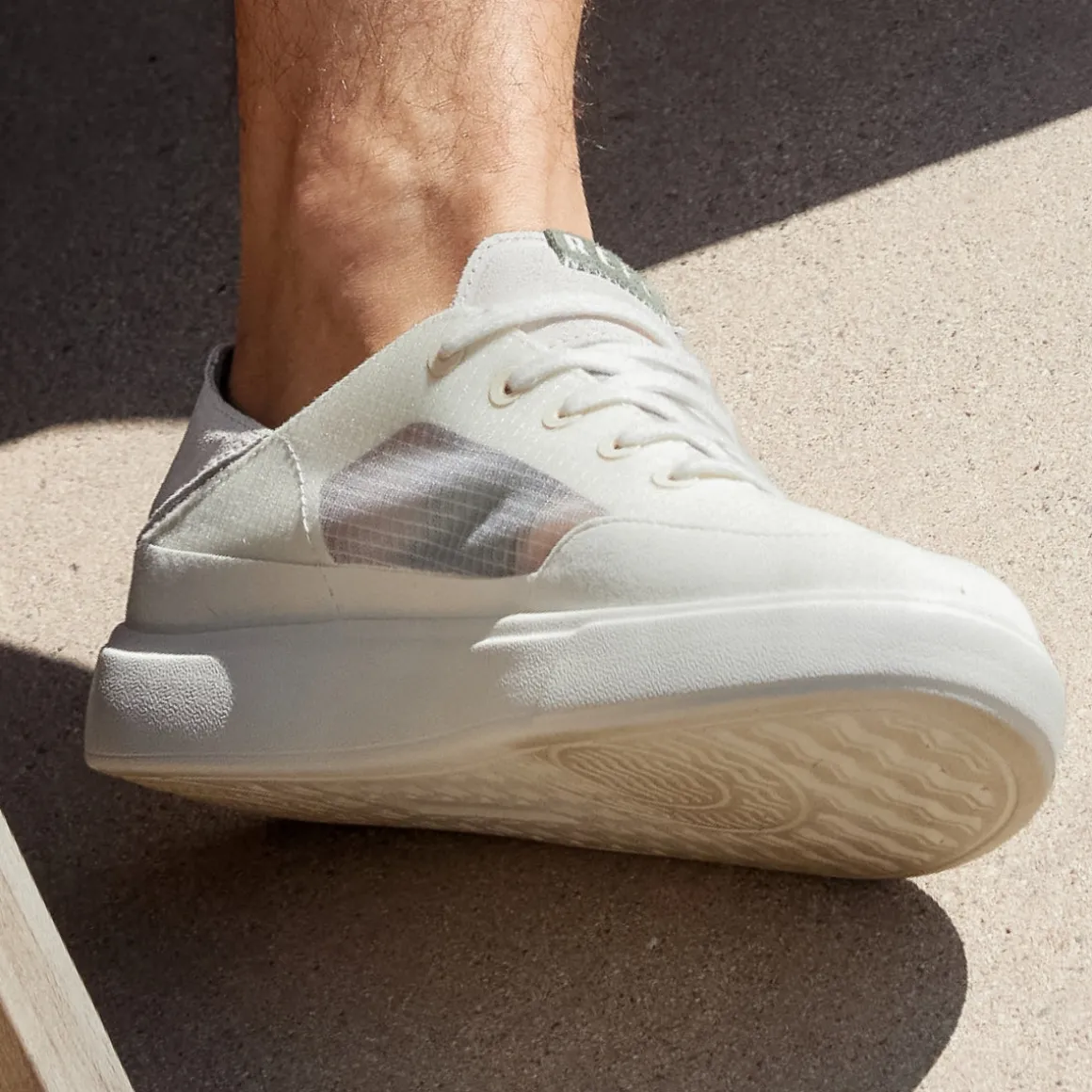 REEF Swellsole Navigator | Shoes