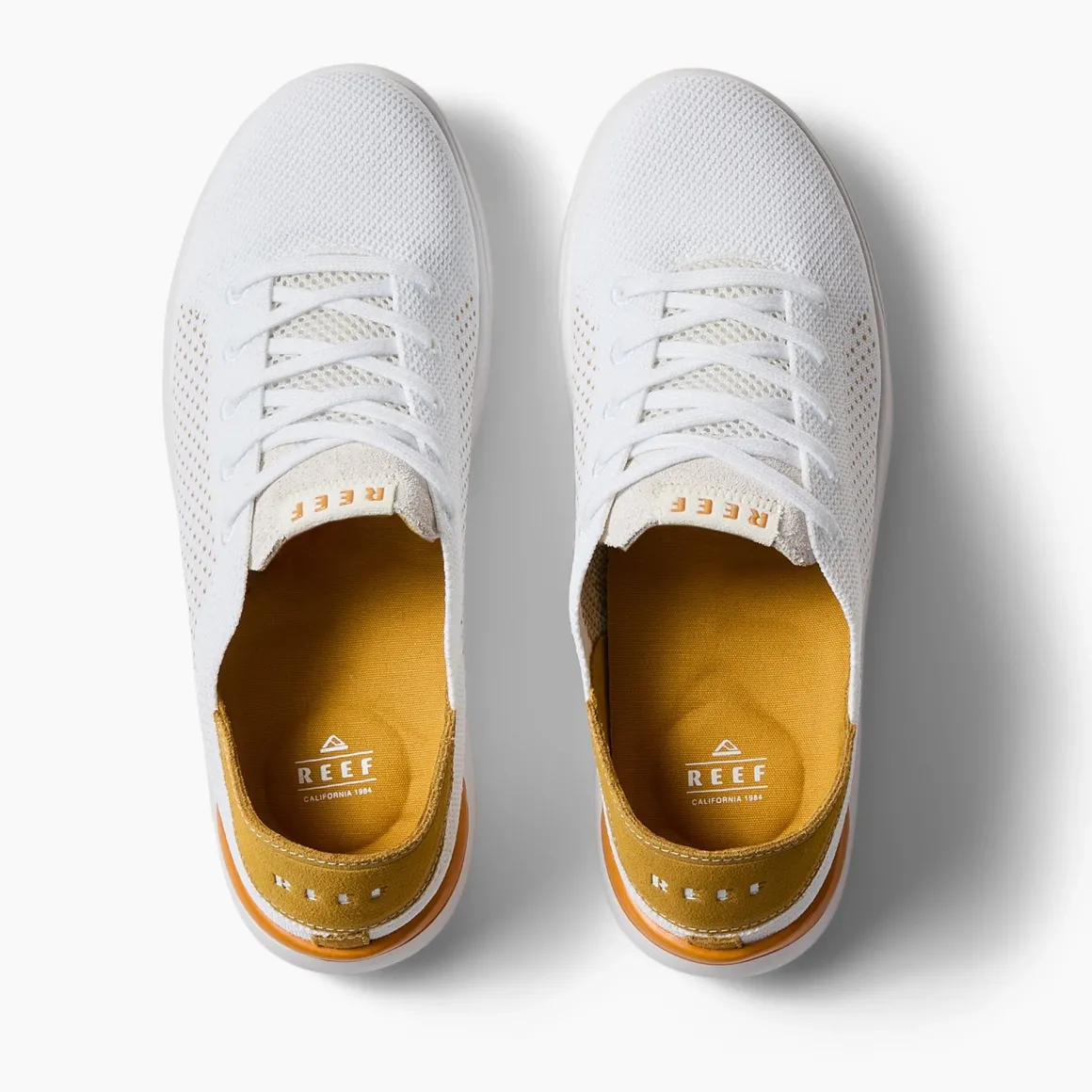 REEF Swellsole Neptune | Shoes