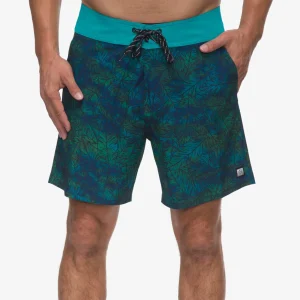 REEF Worley F/W Wvn Short | Shorts, Boardshorts & Pants